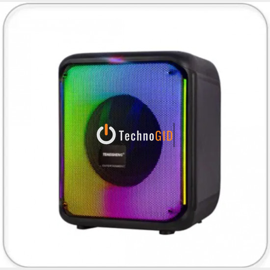 Temeisheng 6828VD bluetooth колонка 8″ 2 мікрофони