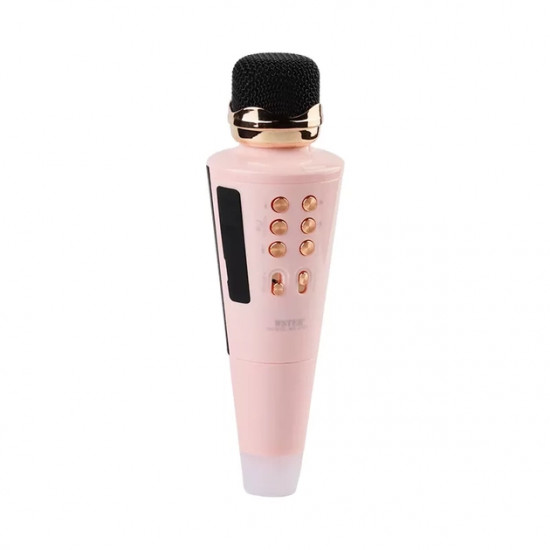 Микрофон wster ws-2711 Karaoke 2 ряда 