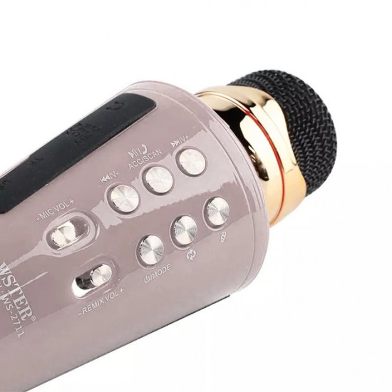 Микрофон wster ws-2711 Karaoke 2 ряда 