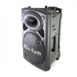 Портативная колонка Su-Kam BT 150D + 2 микрофона 12v\220v (1)