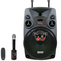 Акустика TEMEISHENG SL12-14 mic.2pc (12"дюйм)