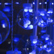 Гирлянда штора улица 300LED (RD097) 3m*2m Синий