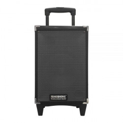 Temeisheng A8-2T блютуз колонка динамик 8″ смикрофоном