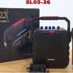 Temeisheng SL 06-26 мини караоке колонка