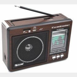 Radio Golon RX9966 UAR (16шт)