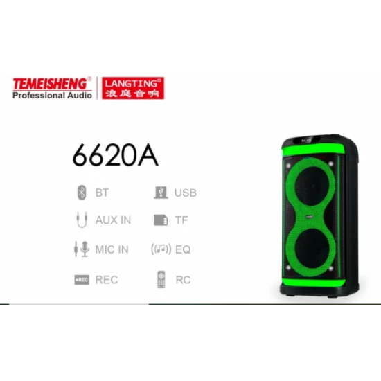 Temeisheng 6620A bluetooth колонка 2*6.5″ два мікрофони Temeisheng 6620A bluetooth колонка 2*6.5″ два мікрофони