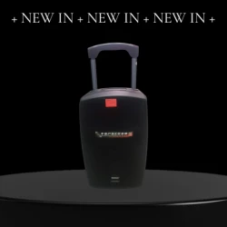 Temeiesheng SL 12-32 Доповідач 12 ″ 2Microphone