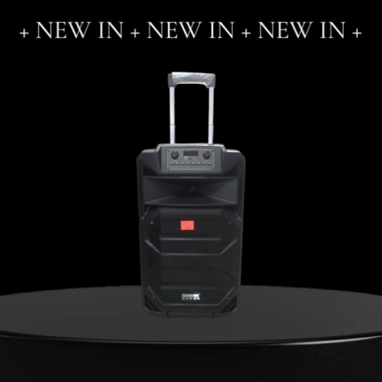 Temeisheng SL 15-31 Tynamik 15 ″ 2 мікрофон 240 Вт