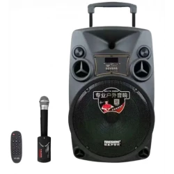 Acoustics Temeisheng SL12-14 MIC.2pc (12 дюймів)
